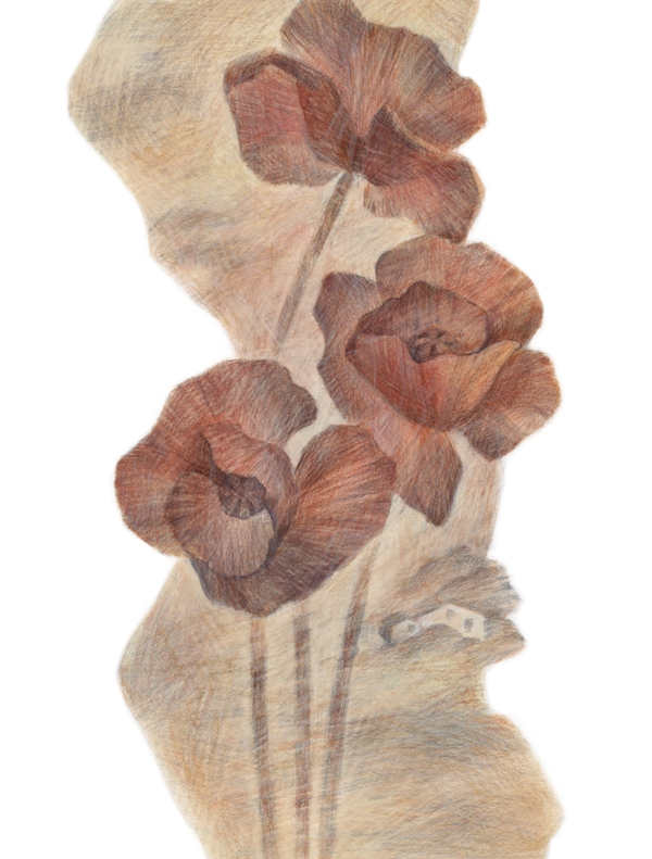 А.М. Ремизов. Посолонь