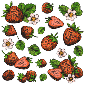коллекция клубники
