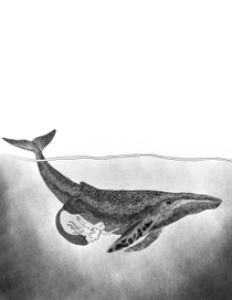 marmaidandthewhale.jpg