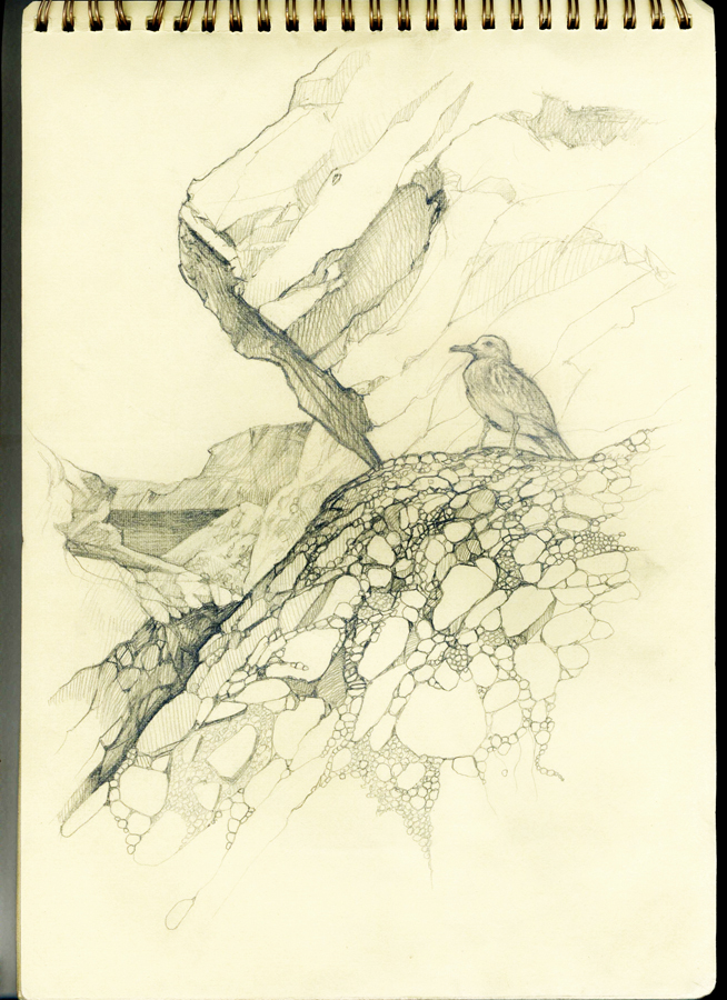 Одинокий баклан))