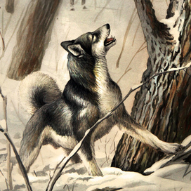 По соболю...