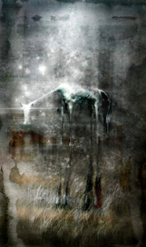 однокопытное