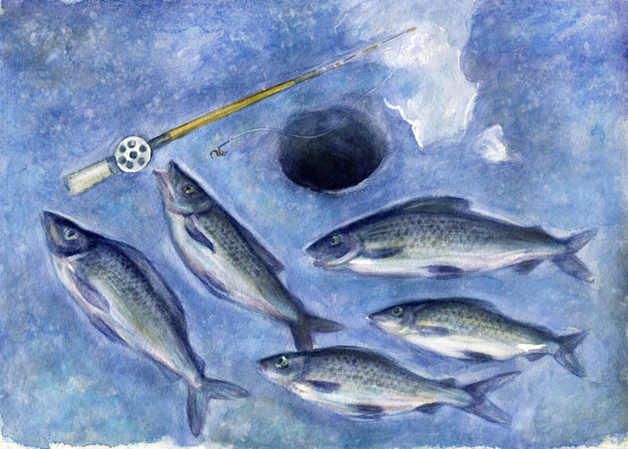 Зимняя рыбалка