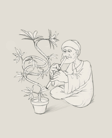 Заклинатель растений