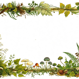 Открытки или рамочки для текста с растительным узором