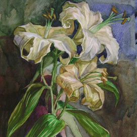 Отцветая незаметно