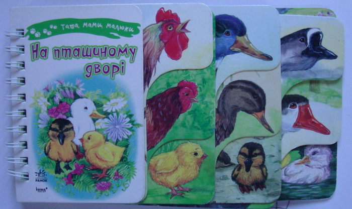 На птичьем дворе