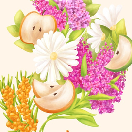 Иллюстрация для упаковки фруктового чая 