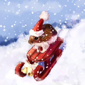 Дегу на саночках