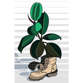 фикус в оригинальном горшке 