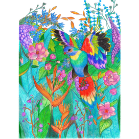 Райская птица