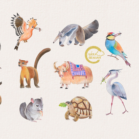 звери и птицы для детского алфавита