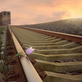 Закат или рассвет.