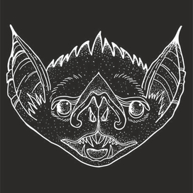 летучая мышь