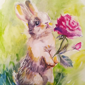 Заяц и роза
