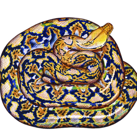 Сетчатый питон