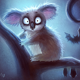 Коала в ночи