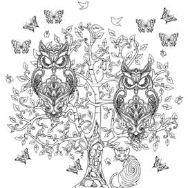 Раскраска антистресс 