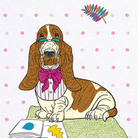 Осень. Бассет