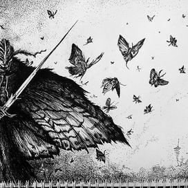 Ночной Calyptr 2016