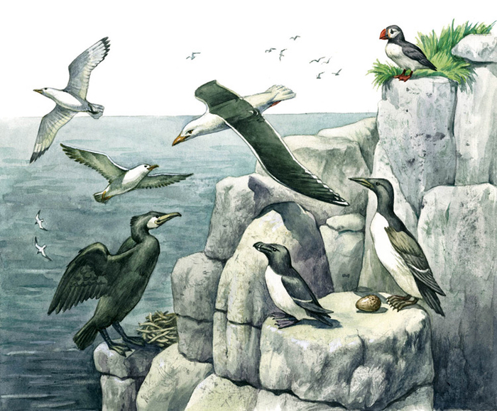  иллюстрации в учебник "Окружающий мир"