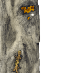 Вечный взгляд