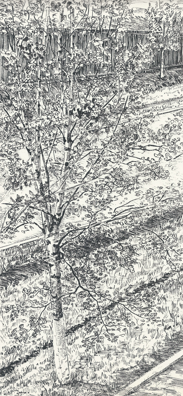 Березка, вид из окна казармы.