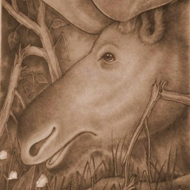 Просто лось