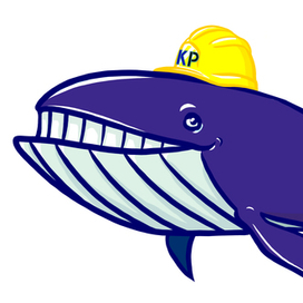 Кит в каске