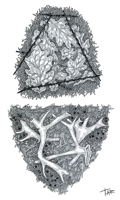 Северная земля