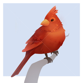 Красный кардинал