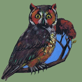 Ушастая сова