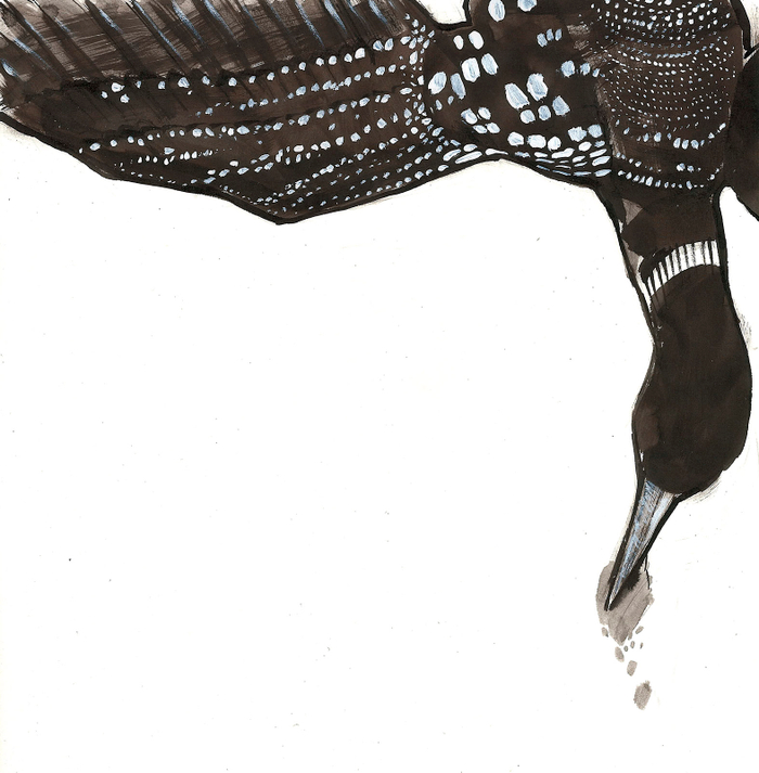 Мыс священной собаки. Иллюстрации к произведению Ругина