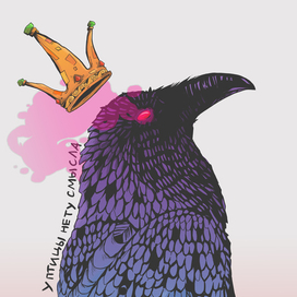 У птицы нету смысла 