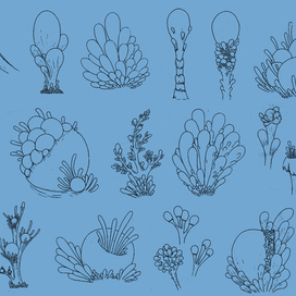 Сапфировый мир