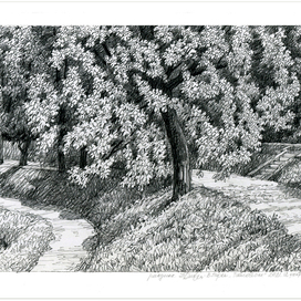 аллея в парке