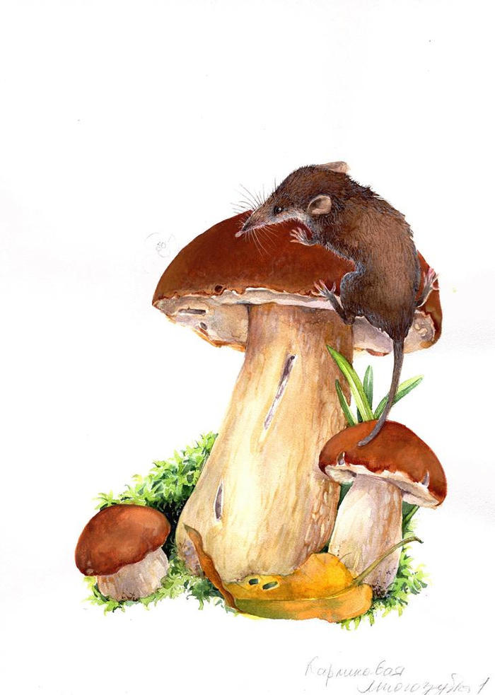 Про самых маленьких.