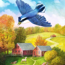 Ранчо Саймона