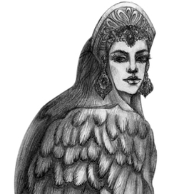 Gamayun bird of paradise