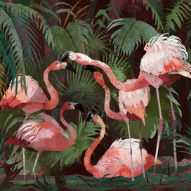 Фламинго