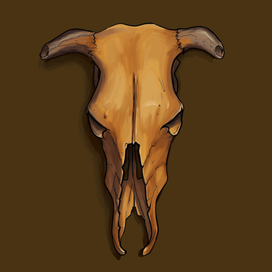 Череп коровы