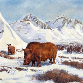 Ледниковый период