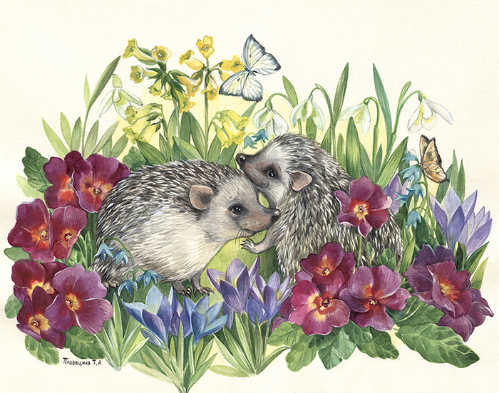 Ежики в примулах и крокусах