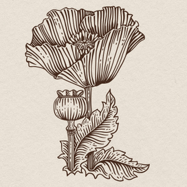 Иллюстрации в стиле гравюры