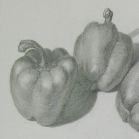 Рисунок Перец