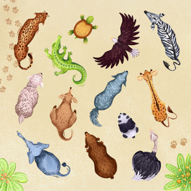 Иллюстрации животных для игры "Смотритель зоопарка"