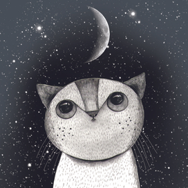 Кот и полумесяц 