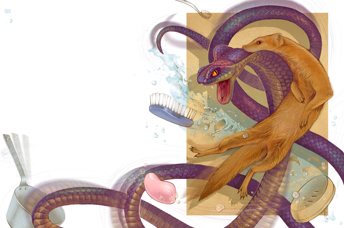 Рикки - Тикки - Тави