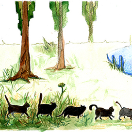 Голодные коты