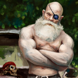 Пират 21 века